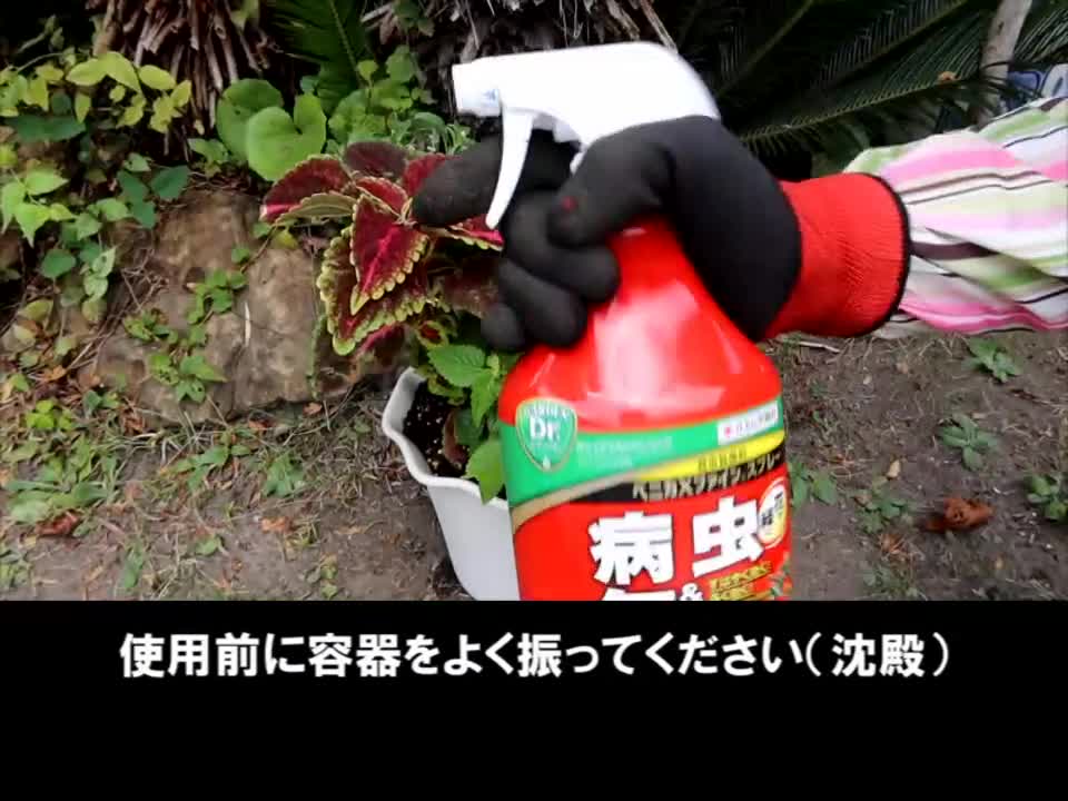 住友化学園芸 ベニカXファインスプレー 1000ml